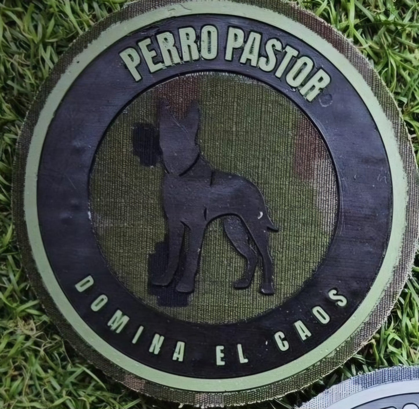 Parche perro pastor